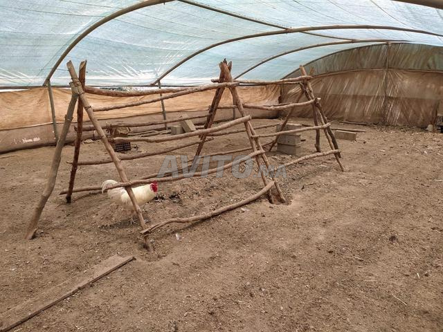 Ferme de 13,5 hectares - 2