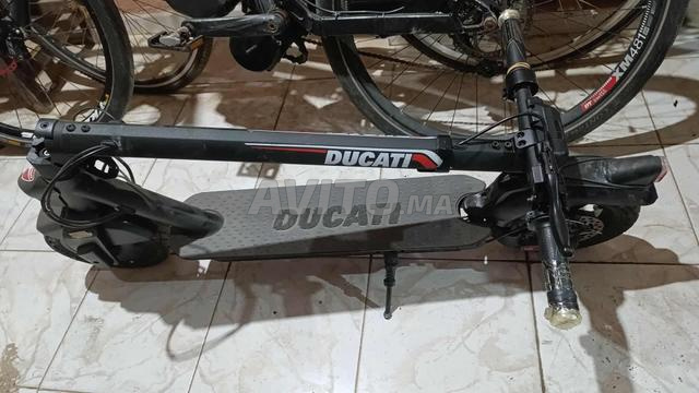 DUCATI PRO 11 - 2