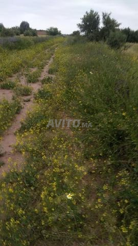 مراكش ، أيت إيمور - 2