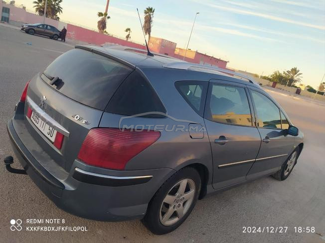Peugeot  407 sw