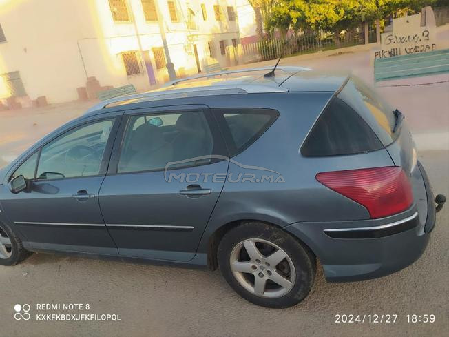 Peugeot  407 sw