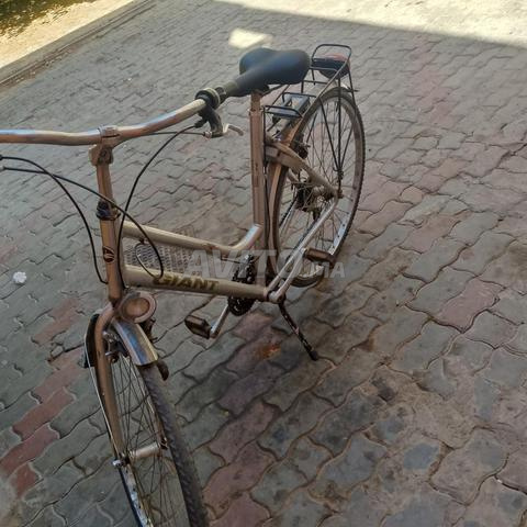 🚲 دراجة Giant مريحة للتنقل اليومي وبسعر مناسب - 2