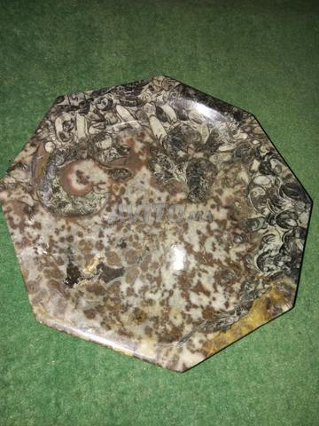 Plat en marbre fossile naturel avec de vrais fossiles