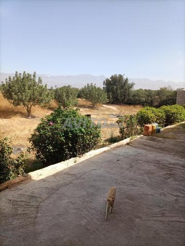ضيعة فلاحية كبيرة وبيت كبير مناسبة للجميع - 2