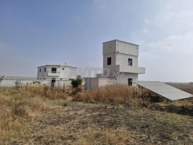 مزرعة ممتازة - 2