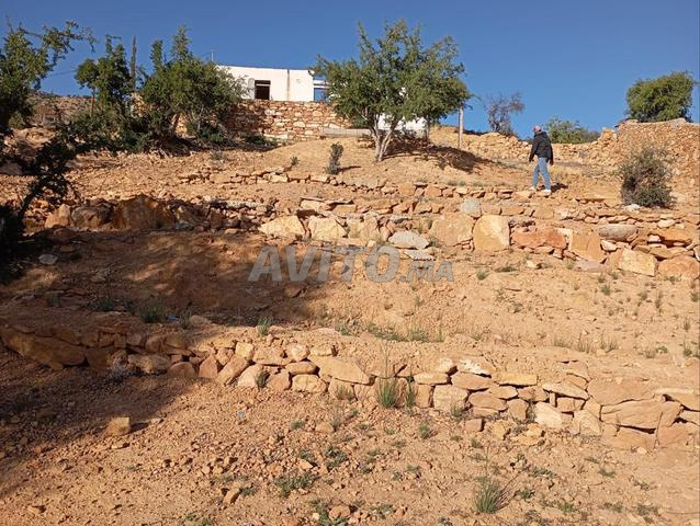 منزل للتجديد في الجبل.