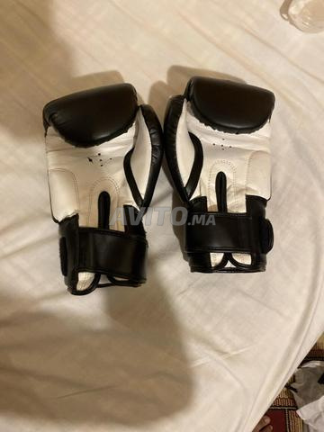 Les gants SANIJA 10 oz - 2
