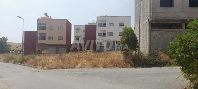 بقعة أرضية محفظة شوكة تجزئة الفردوس - 2
