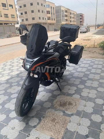فوج 300 دي إس 2024 - 2