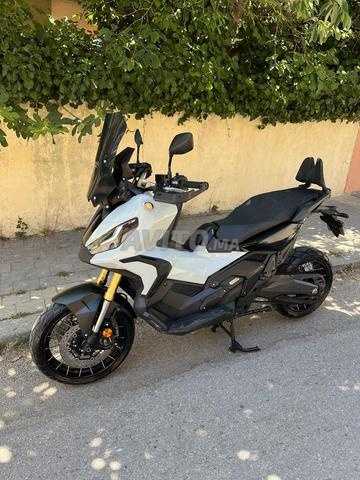 XADV www Maroc modèle 2024 - 2