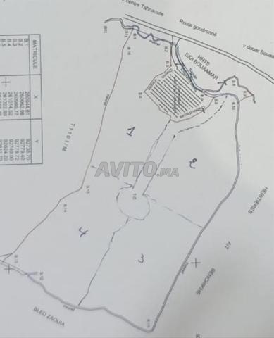 بيع 4 هكتار ملكية صفر درب كلم 24