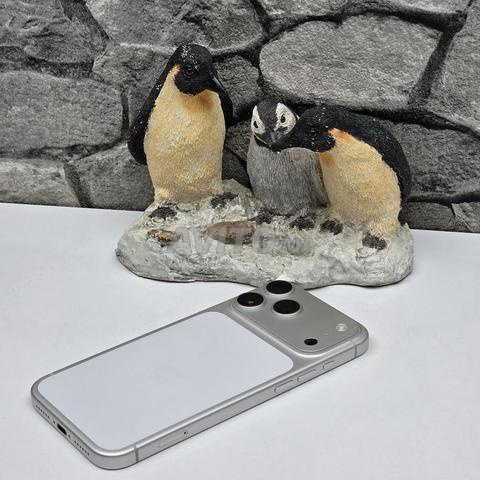 iPhone 17 PRO MAX / 256 Go / Silver / 100