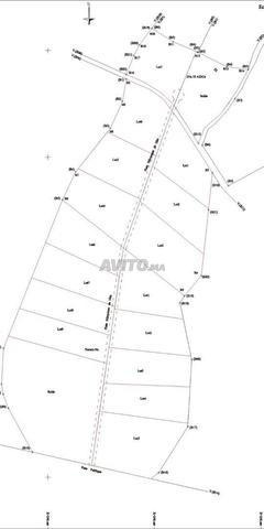 Vente de lots de 1ha titré KM18 Route d'Amezmiz