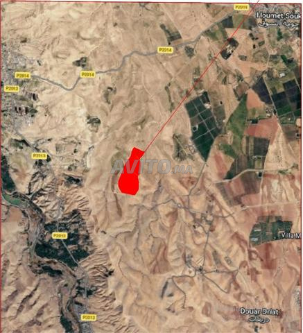 Vente de lots de 1ha titré KM18 Route d'Amezmiz