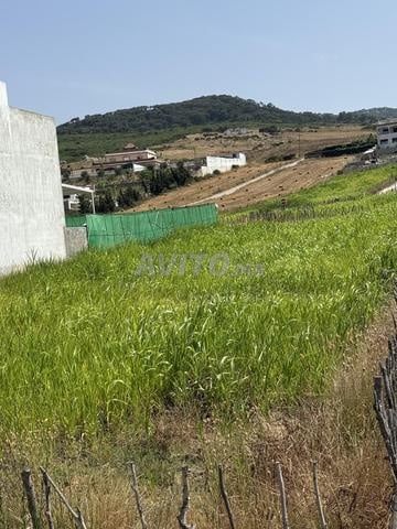 أرض للبيع محفظة - 2