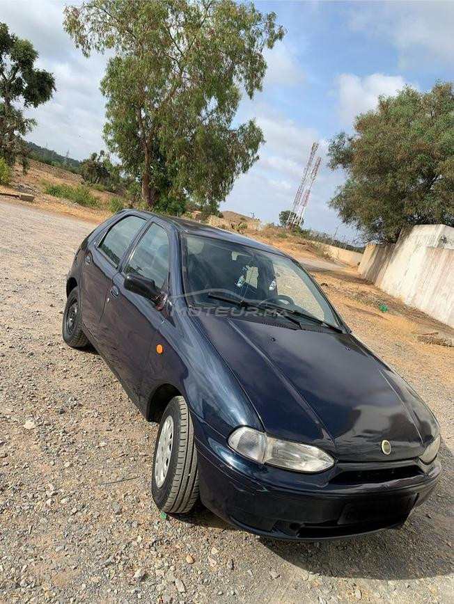 fiat palio essnece