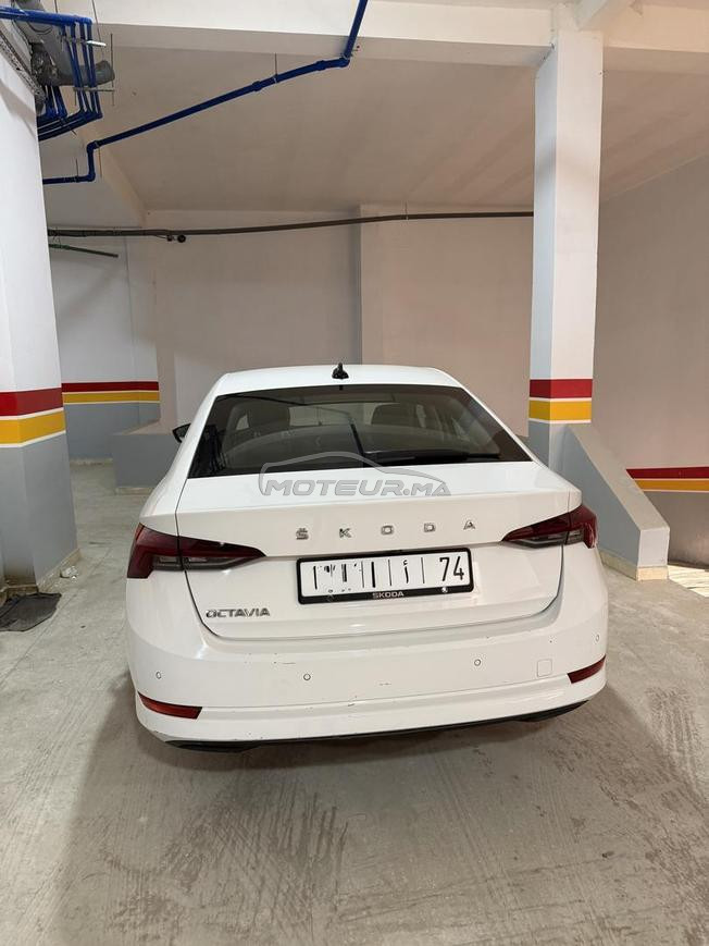 Skoda octavia 2023