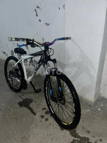 Scott Aspect 55 - 2