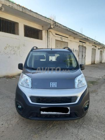 Fiorino 1er main - 2