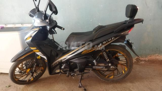 ADIVA MOTO 2025 MAKINA 110 PETITE PLAQUE - 2