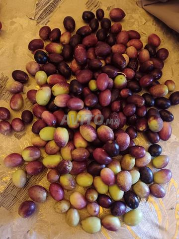 Huile d'olive vierge