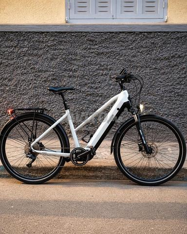 Ce Prophete Entdecker 5.0 est un vélo électrique - 2