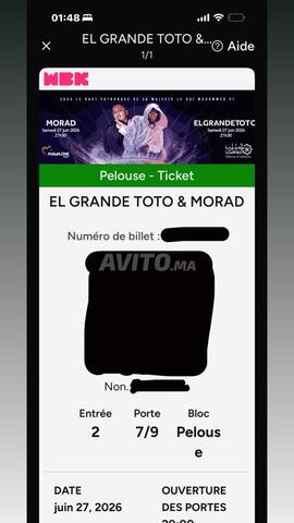 Billet pelouse Mawazine Toto et Morad - 2