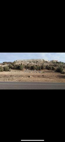 أرض ساحلية مطلة على البحر - 2