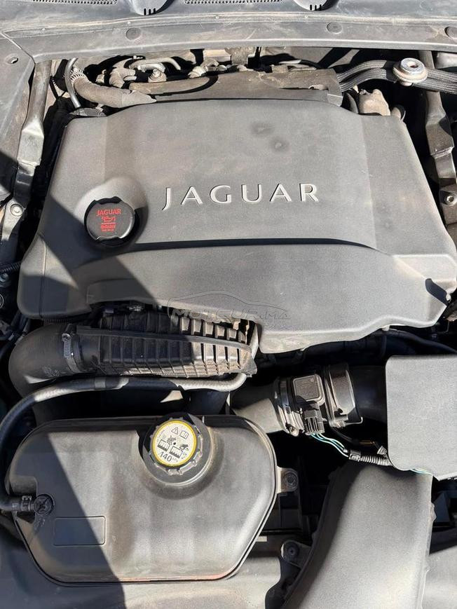 jaguar diesel a vendre