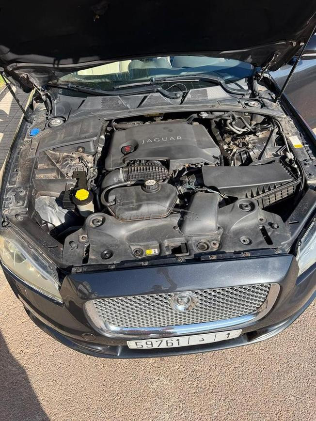 jaguar diesel a vendre