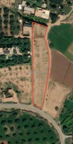 Terrain titré de 3 400 m² situé à Chwiter