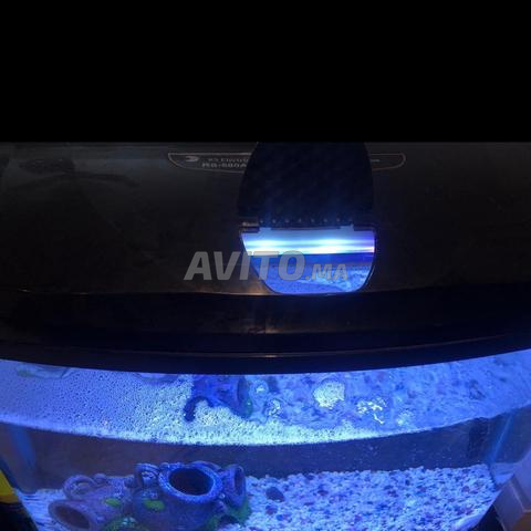 Aquarium complet avec LED - 2