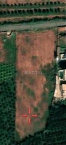 13 000 m2 titré sur goudron à Issen