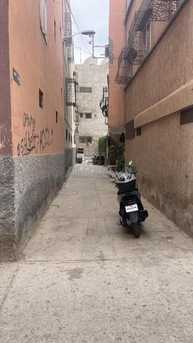 أرض تاريست