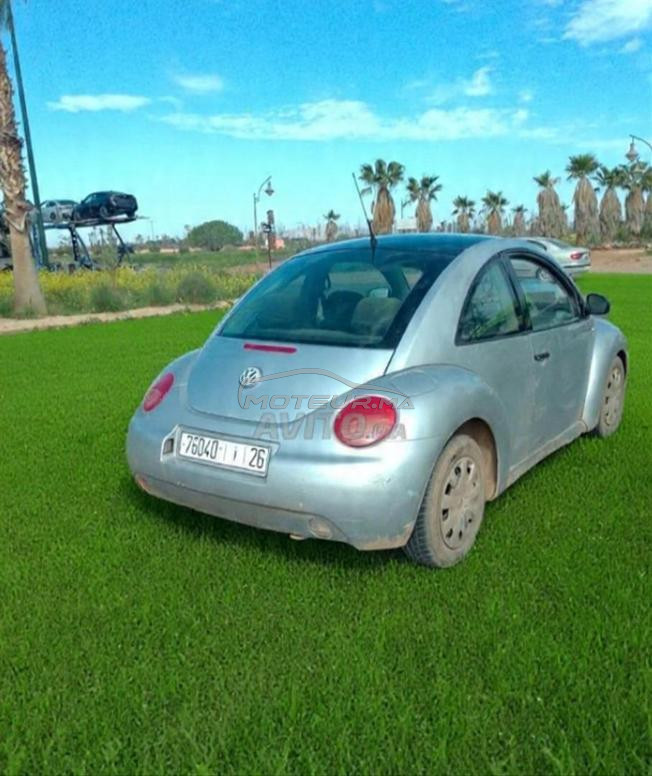 cocccil mliha 650