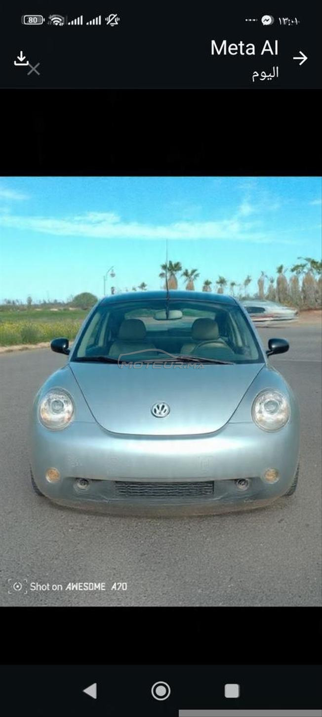 cocccil mliha 650