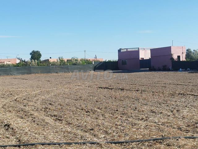 Terrain Agricole de 2500 m2 - 2