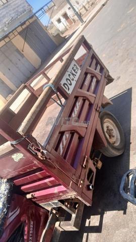 Tricycle 2022 mois 8 disponible dans les environs de El Jadida - 2