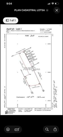 Terrain R3 Boulevard Hassan II Mohammedia - 2
