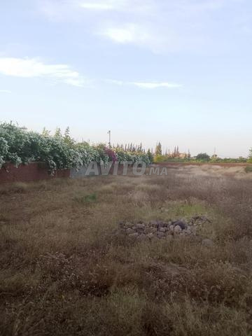 À vendre – Terrain titré 5000 m² avec villas