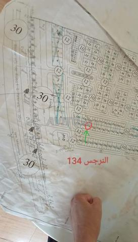 قطعة أرضية 80م² للبيع بأيت مالك - 2