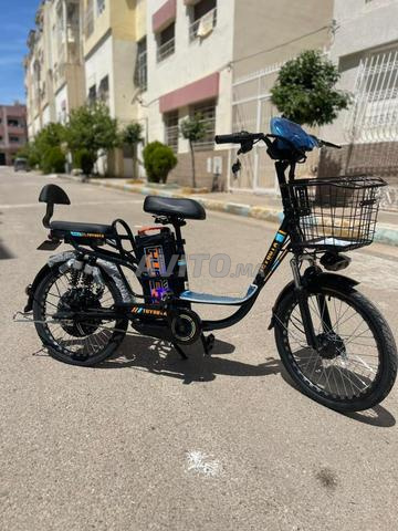 Vélo Princess Électrique 48V 20Ah - Deux Places - 2