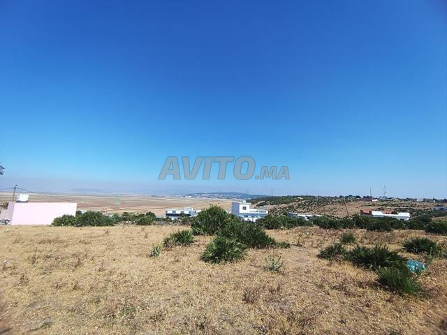 Terrain à vendre – Proche plage et autoroute - 2