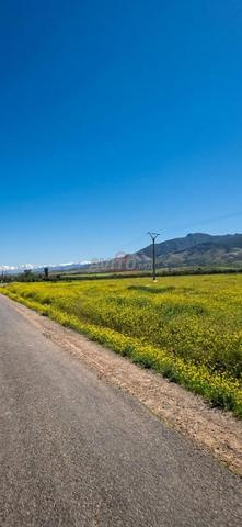 Vente Terrain nu de 10126 m2 à Marrakech