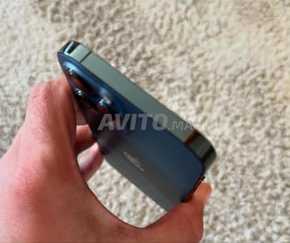 iPhone 12 Pro Max 256 Go - 2