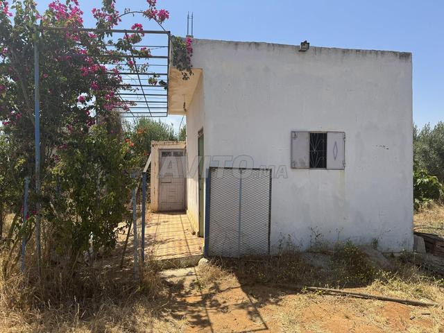 Ferme équipée à vendre - 2