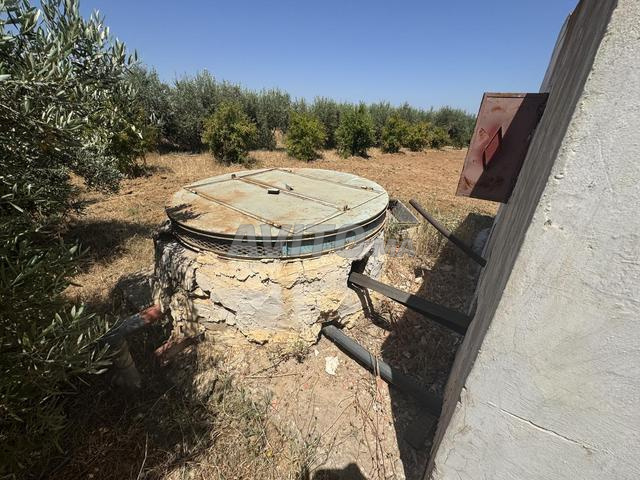 مزرعة مجهزة للبيع - 2
