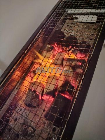 Charbon de barbecue - 2