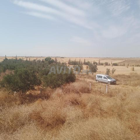 مزرعة مجهزة بالكامل 5 هكتار توالعة