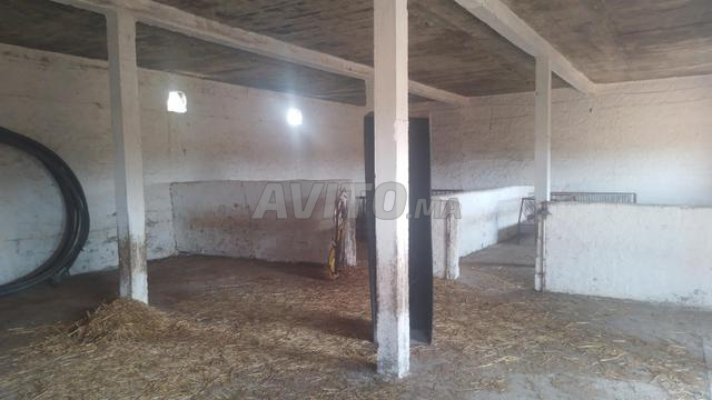 مزرعة مجهزة بالكامل 5 هكتار توالعة